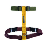 TDIT H-Harness - Colour Pop Collection - Olive/Yellow/Wine That Dog In Tuxedo