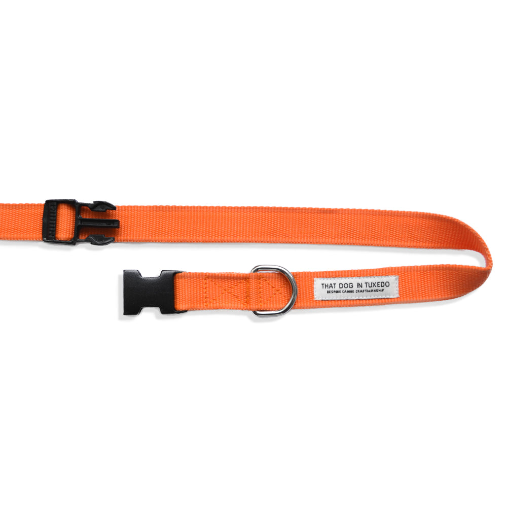 TDIT Adjustable Nylon Dog Leash - Orange thatdogintuxedo