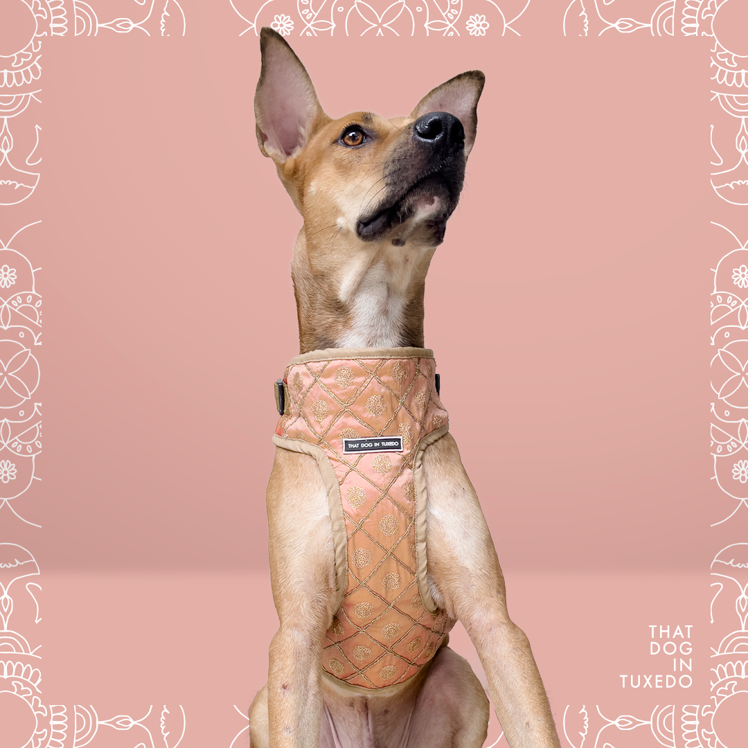 Saroj - Embellished Festive Dog Mesh Harness | Padmakshya Collection thatdogintuxedo