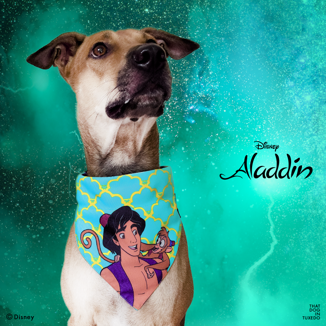 TDIT X Disney Aladdin/Hypnotic Personality Reversible Dog Bandana with collar That Dog In Tuxedo