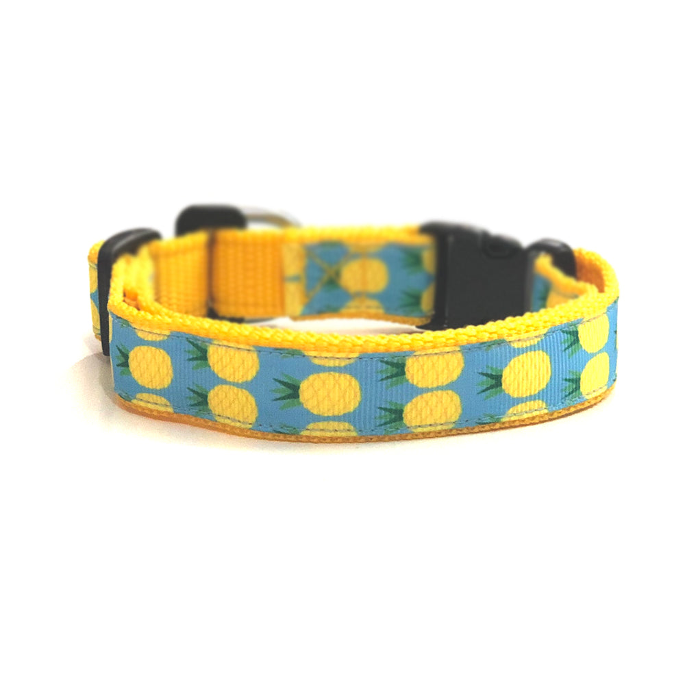 Pineapple Cat-Puppy Collar thatdogintuxedo