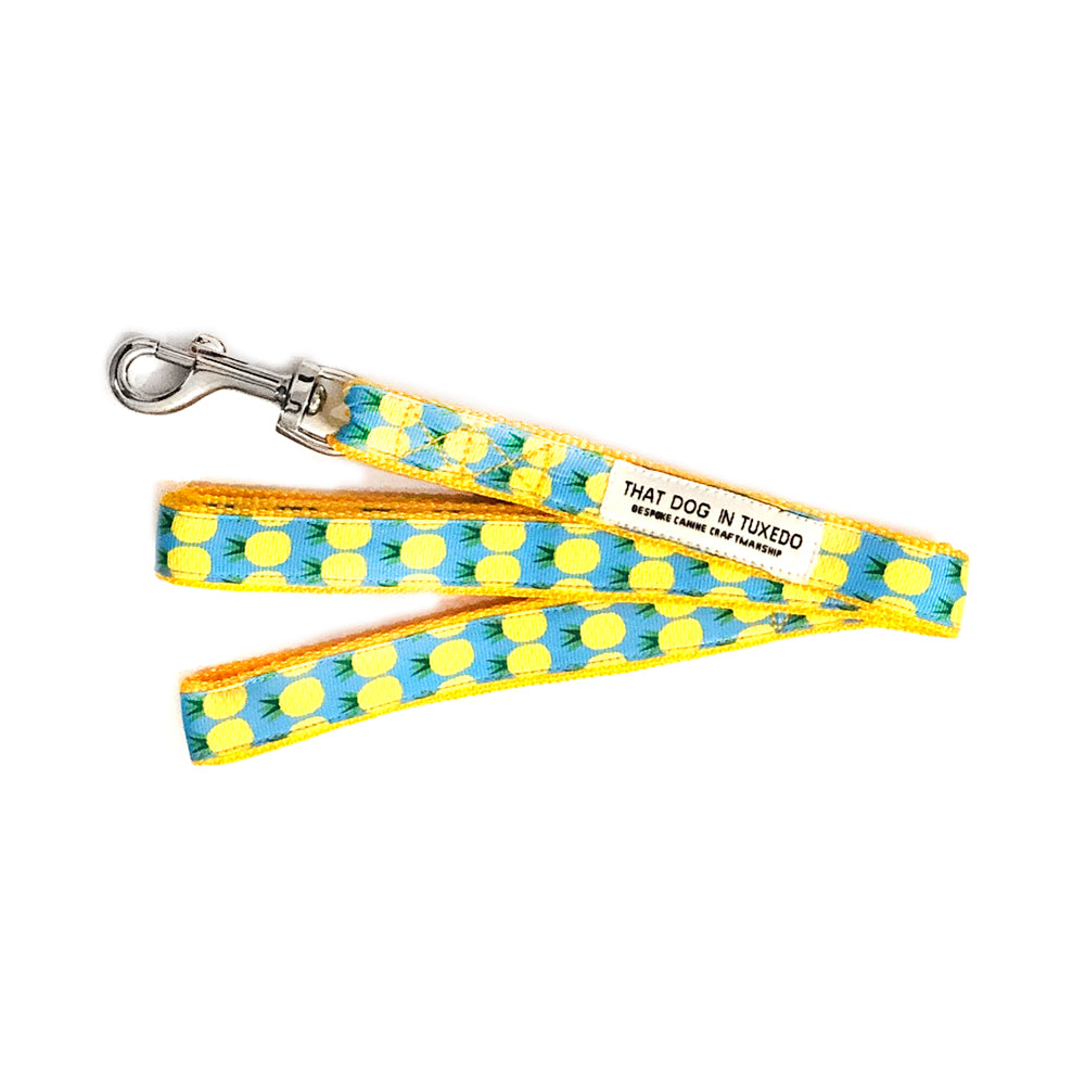 Pineapple Cat-Puppy Collar thatdogintuxedo