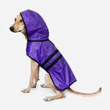 Pawdington Hoodie Dog Raincoat - Purple