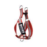 Reflectors - An Easy Walk & Step - In Harness with Name Patch | RED