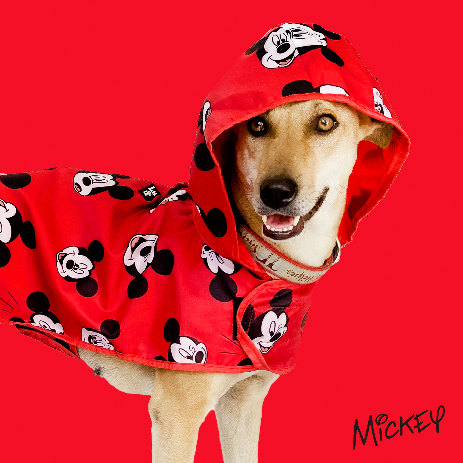 Mickey raincoat 2025