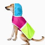 Colour Pop Dog Raincoat - Bubblegum