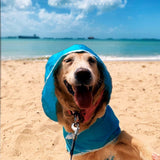 Pawdington Hoodie Dog Raincoat - Sky Blue