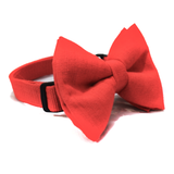 Sunset Red Solid Colour Dog Bowtie