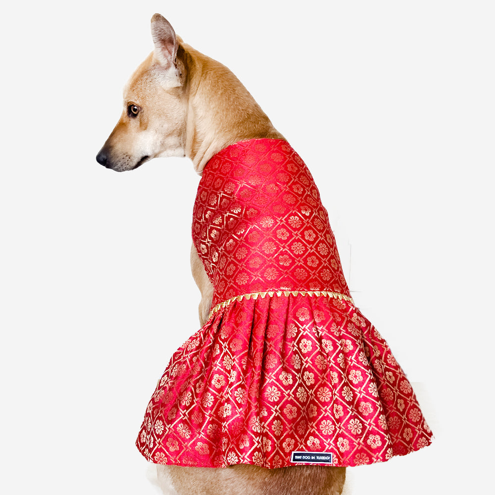 dog dress red Amazon.com : Parisian Pet Scottish Dog Dress - Holiday Plaid Clothes for Small Dogs Girl - Red Checkered Pet Dress with Pleated Skirt - Dog Wedding Outfit