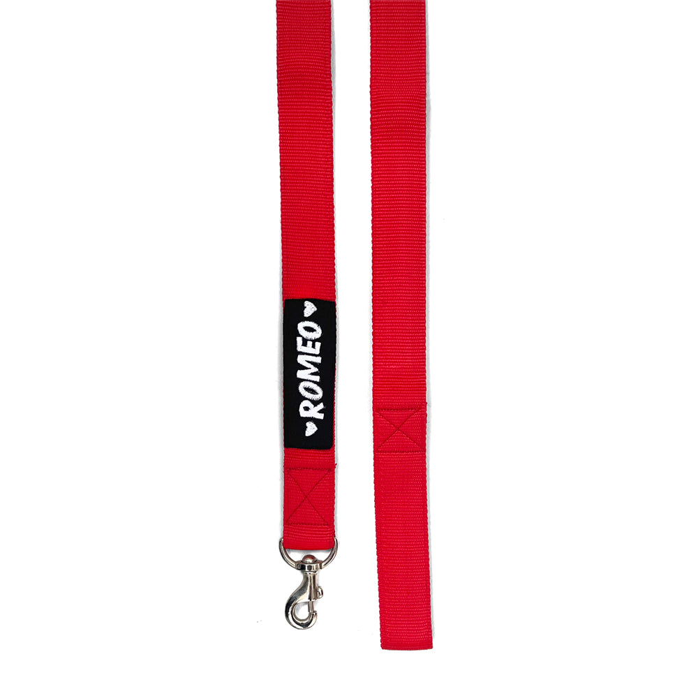 Personalised Name Patch Leash - Red thatdogintuxedo