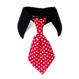 Dog Necktie Shirt Collar - Red Polka Dots