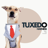 Tuxedo with Tie Dog Body Mesh Harness - Grey