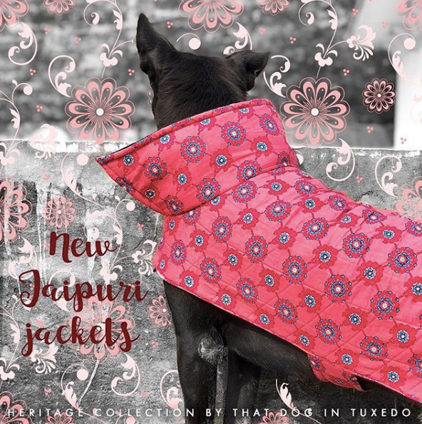 Jaipuri Quilted Dog Winter Jackets - Heritage Collection - Pink thatdogintuxedo