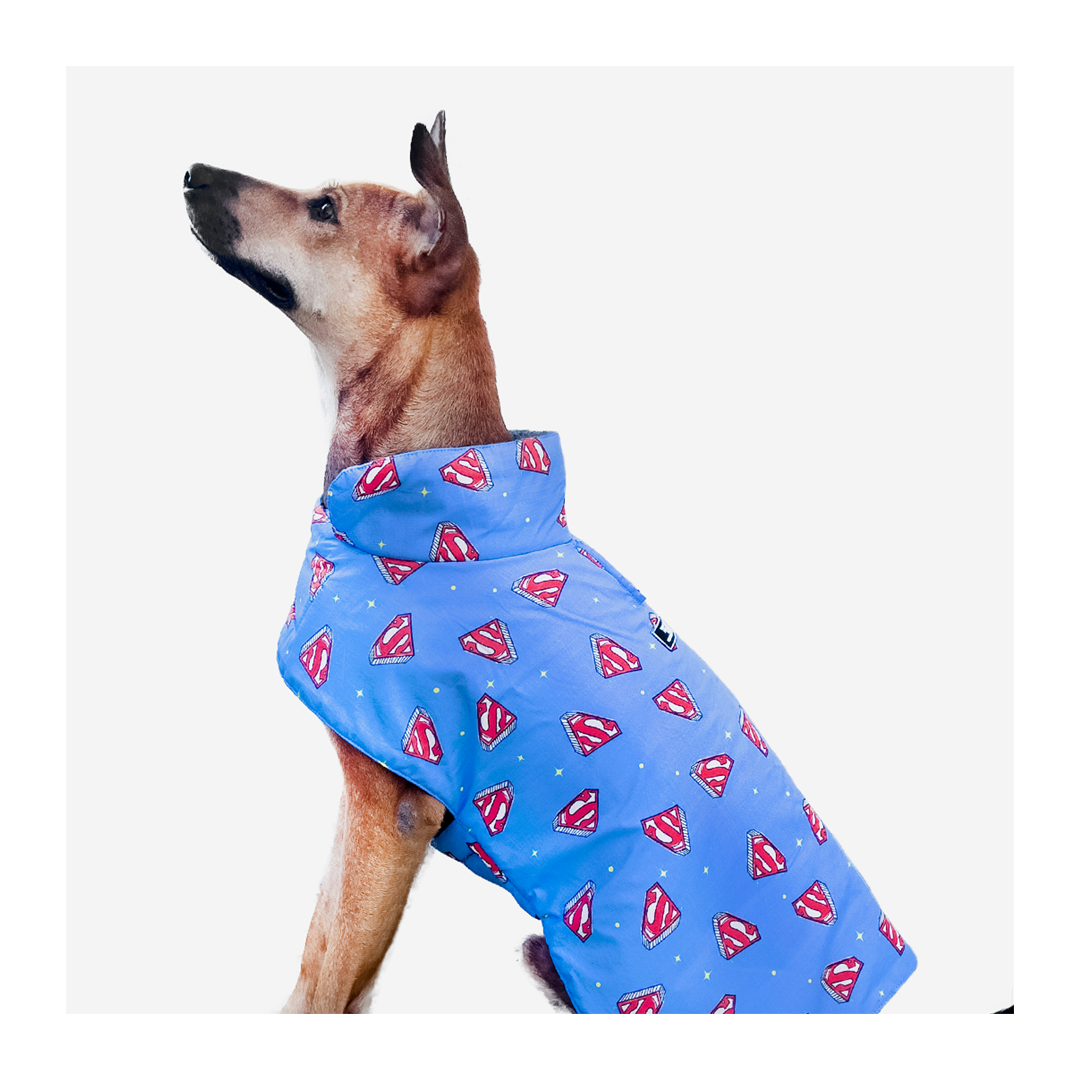 Buy TDIT X DC Superman Winter Jacket by That Dog In Tuxedo