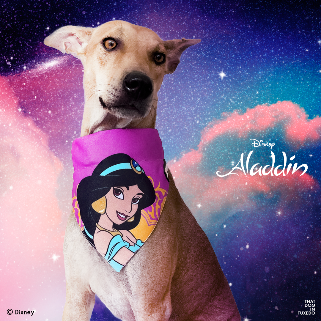 TDIT X Disney Princess Jasmine/Beautiful and Courageous Reversible Dog Bandana with collar That Dog In Tuxedo