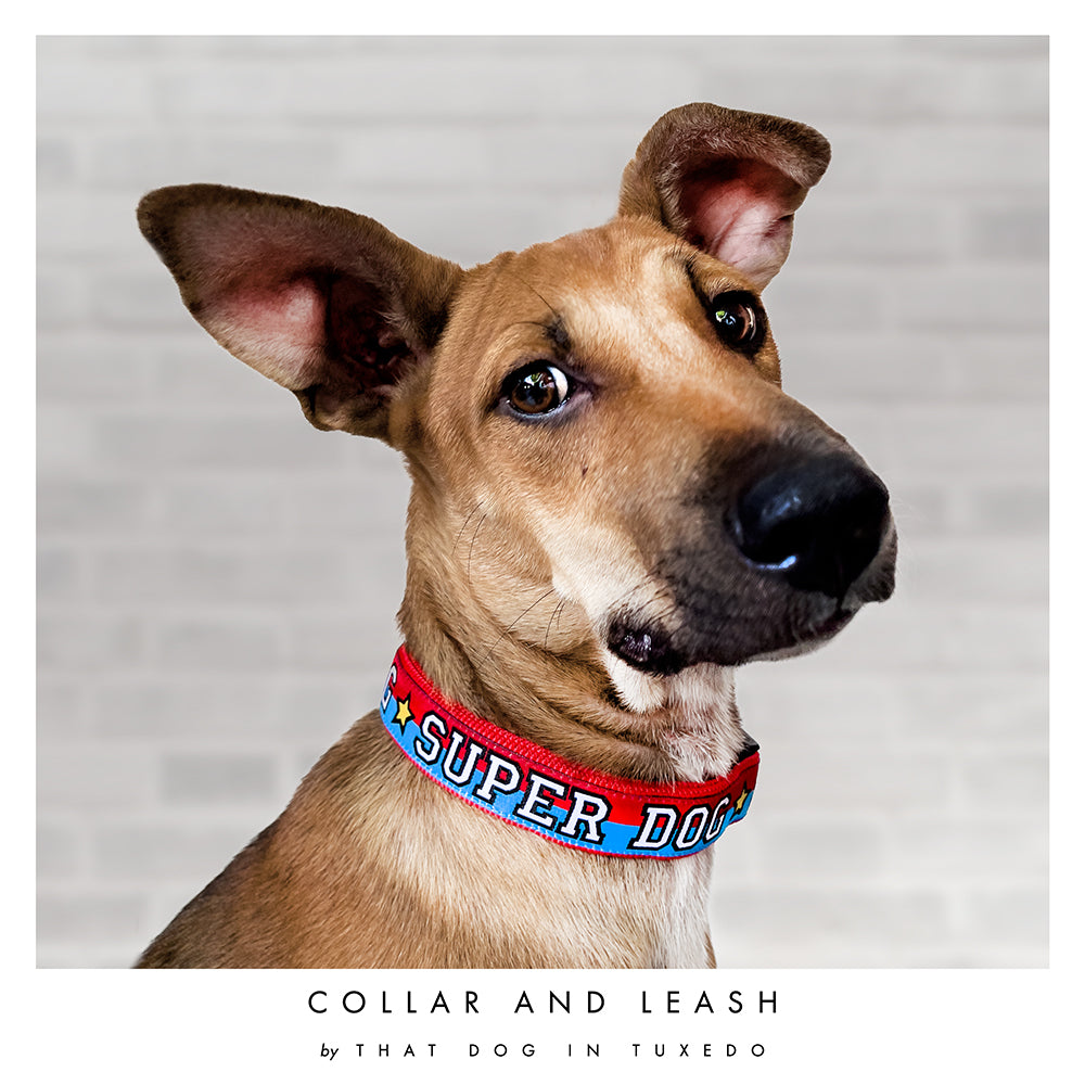 Super Hero Dog Collar thatdogintuxedo