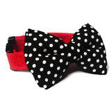 Twinkle Dots Adjustable Bow tie Collar