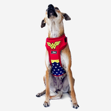 TDIT X ©DC Wonder Woman Body Mesh Harness That Dog In Tuxedo
