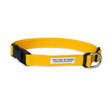 TDIT Basics Dog Nylon Collar - Yellow thatdogintuxedo