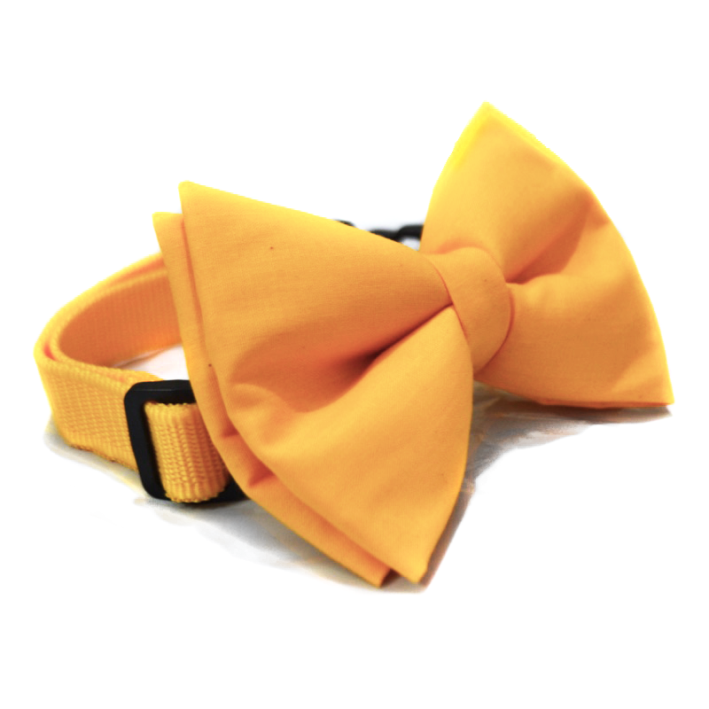 Butter Yellow Solid Colour Dog Bowtie thatdogintuxedo